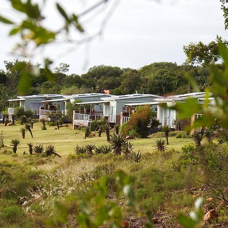 Stoneyvale Cottages Grahamstown Εξωτερικό φωτογραφία