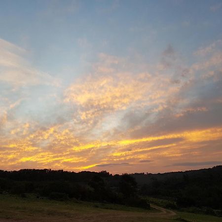 Stoneyvale Cottages Grahamstown Εξωτερικό φωτογραφία