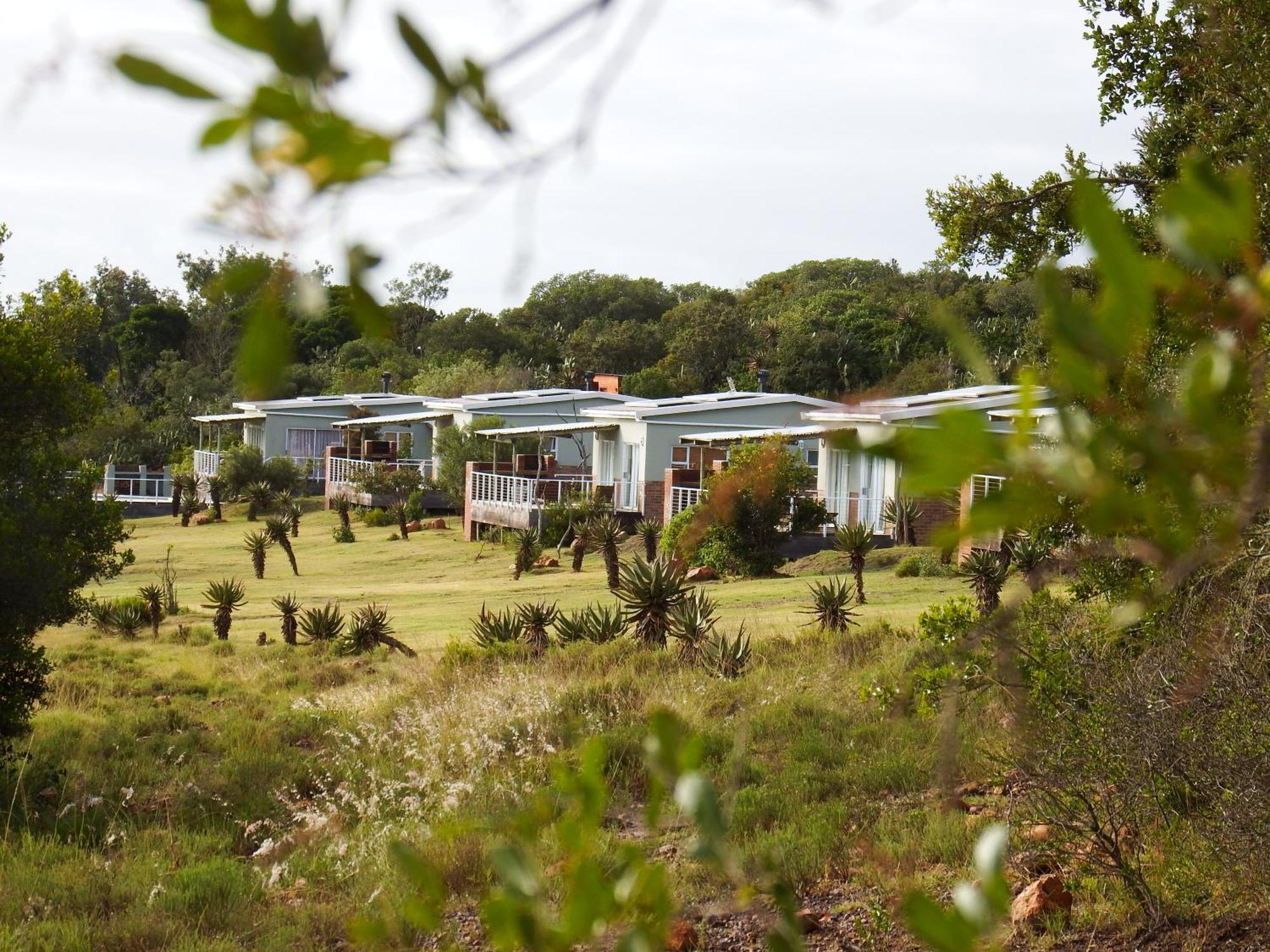 Stoneyvale Cottages Grahamstown Εξωτερικό φωτογραφία