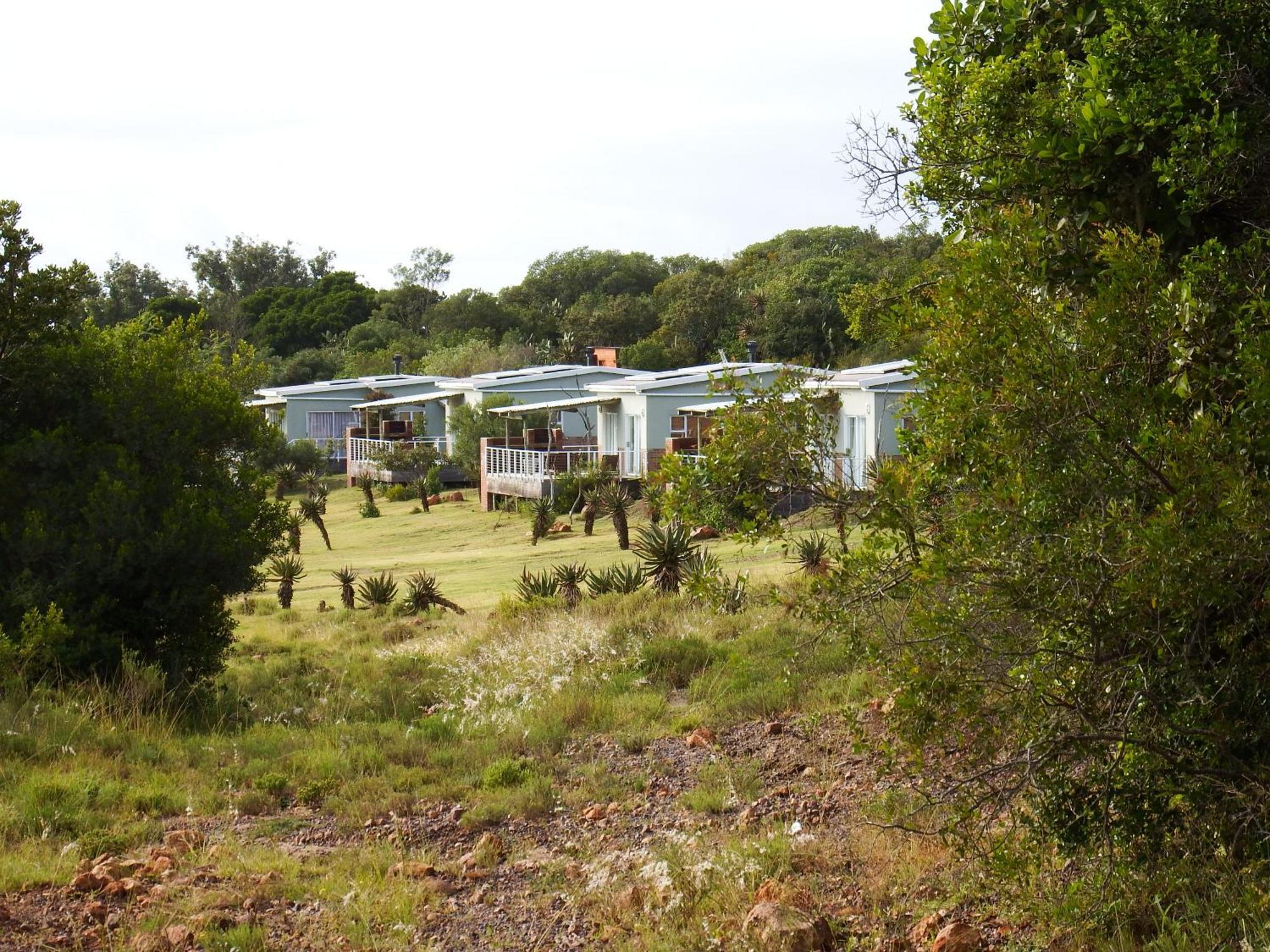 Stoneyvale Cottages Grahamstown Εξωτερικό φωτογραφία